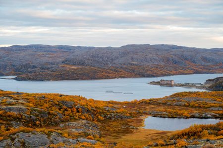 Colorful autumn tundra in front of lake in Liinahamari.の写真素材