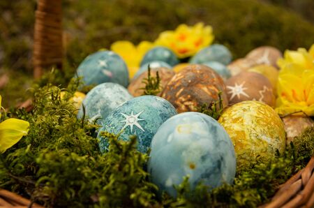 Easter painted eggs with stars and daffodils, food