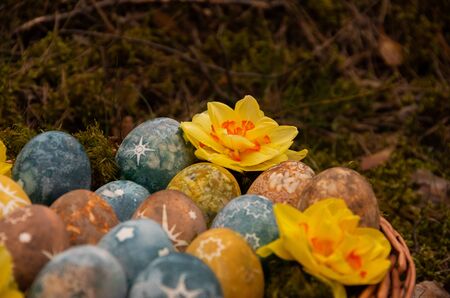 Easter painted eggs with stars and daffodils, food