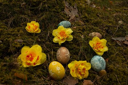 Easter painted eggs with stars and daffodils, food