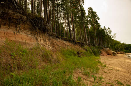 On the sea shore, caves with rocks and wooden stairs and tree roots washed away by the storm, grassの写真素材