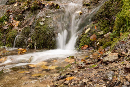 Waterfall in autumn with falling leaves, lots of water on mossの写真素材