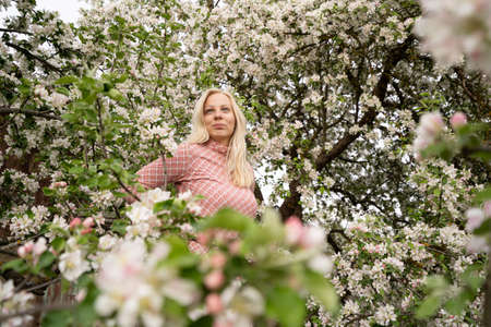 Blonde woman standing and posing in apple blossoms, pink color, luckyの写真素材