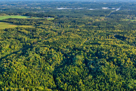Warm late summer morning aerial top view of hills covered by massive forest in northern europe national park. Texture of isolated forest view from above.の写真素材