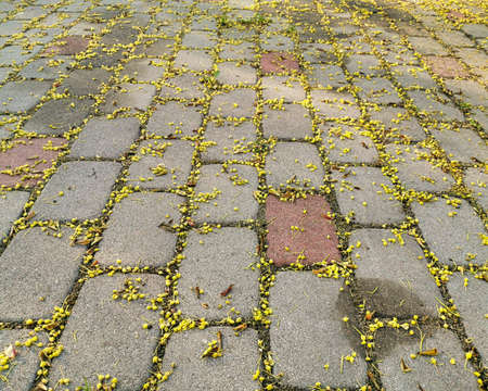 Close-up high contrast hydraulic oil steering fluid leak stains block paver paved driveway covered with maple pollenの写真素材