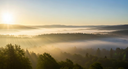 Panoramic view of foggy morning in the Carpathian mountainsの素材