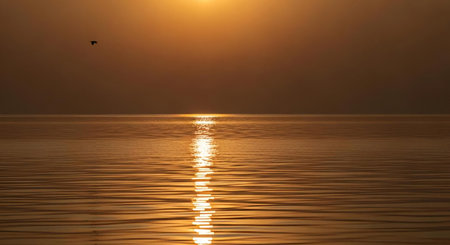 Beautiful sunset over the sea. Nature composition. Sunset over the sea.の素材