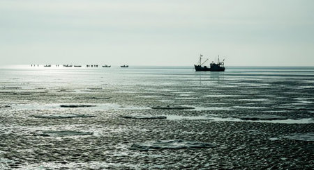 Fishing boats on the Baltic Sea in Poland. Toned.の素材