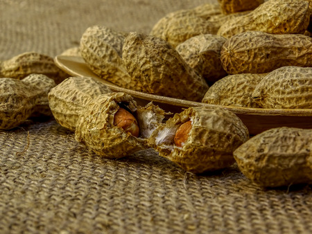 Peanut In Shellの写真素材