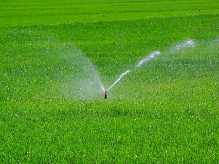 farm irrigationの写真素材