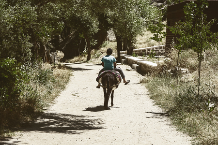 Vintage,The boy is riding his donkey in a little villageの写真素材