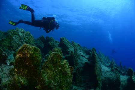 Underwater modeling. Reserve light, blue background.の写真素材