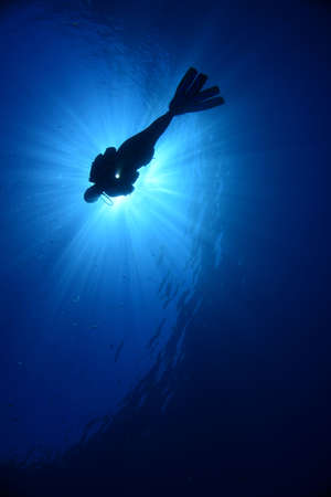 Underwater modeling. Reverse light, blue background.