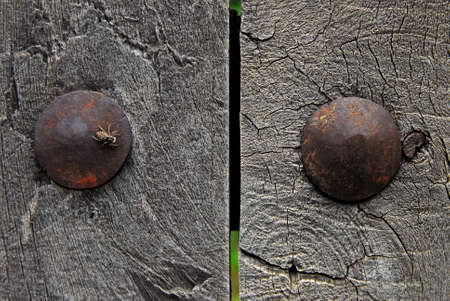 Historic wooden and metal doors. Old wooden and metal doors.Historical wooden doors in Istanbul.の写真素材