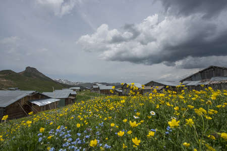 Wooden chalets. Old Castle Village, Artvin Turkeyの写真素材