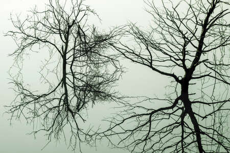 lake view in spring, reflections in the lake.の写真素材