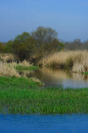 lake view in spring, reflections in the lake.