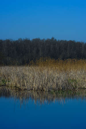 lake view in spring, reflections in the lake.の写真素材
