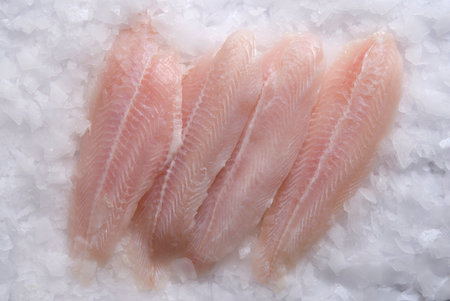 mackerel fish kept on ice