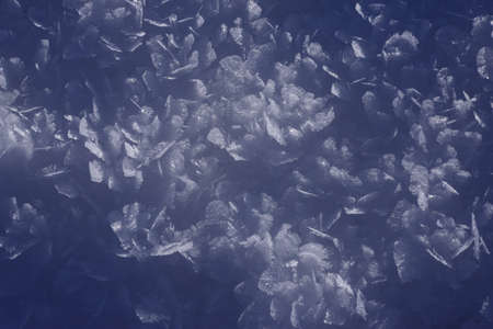 Ice crystals on blue background, closeup. Winter background, texture