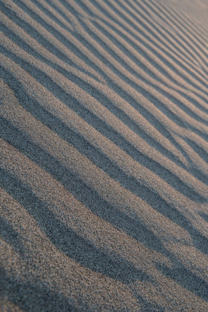 beach sand. Wavy sand, sand formed by the wind in the form of an embankment. Shady sand. Sandy view from Patara Beach.の写真素材