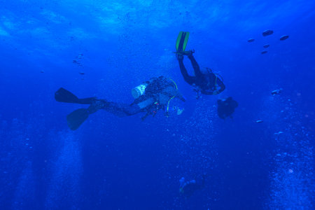 Divers waiting at the safety stop. Underwater bubbles, water bubbles. Safety stop while diving. Red Sea, Egypt.の写真素材