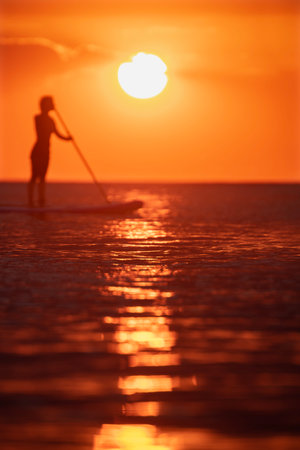 Silhouette of a woman on a stand up paddle board at sunset. SUP. Stand up shovel. Silhouette of woman paddleboarding at sunset. Canakkale, TÃ¼rkiye.の写真素材