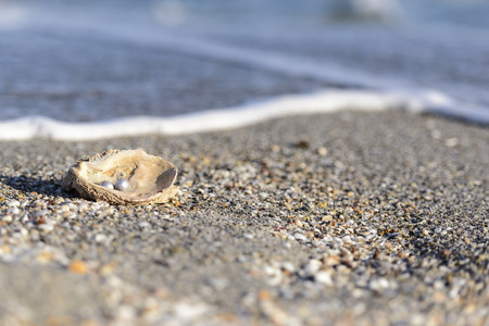 Australian pearls over an old shell 
