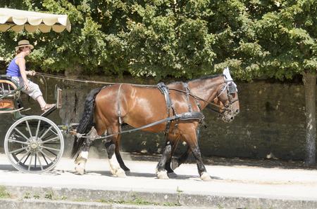 External views of the beautiful park and the castle of Fontainebleauのeditorial素材