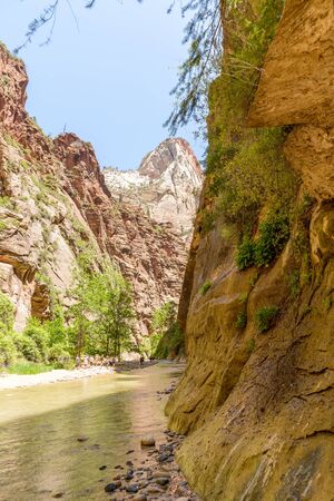 Zion National Park, Utah, USA - June 03, 2015: Tourist hiking on the shippery rocks along Virgin River in the Narrows of Zion National Park, surrounded by the walls of the canyon.のeditorial素材