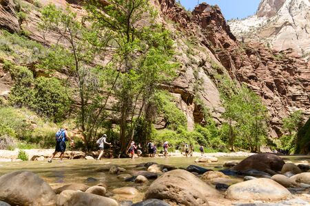 Zion National Park, Utah, USA - June 03, 2015: Tourist hiking on the shippery rocks along Virgin River in the Narrows of Zion National Park, surrounded by the walls of the canyon.のeditorial素材