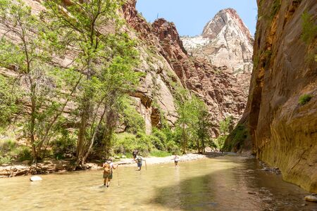 Zion National Park, Utah, USA - June 03, 2015: Tourist hiking on the shippery rocks along Virgin River in the Narrows of Zion National Park, surrounded by the walls of the canyon.のeditorial素材