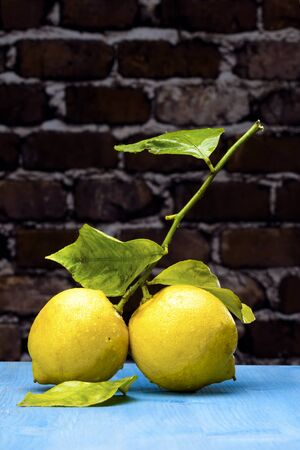 Two yellow lemons and leaf over a black wooden table blueの写真素材