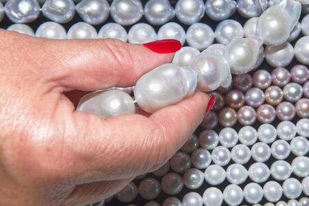 Gemologist  expert assesses the quality of pearls. Women's hands control quality with tools.の写真素材