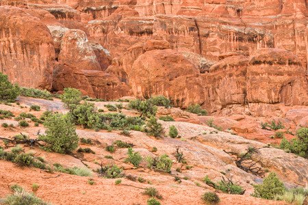 Landscape a look on the rocks of the Arches National Park. It's home to over 2,000 natural sandstone arches. In addition to a variety of unique geological resources and formations.の写真素材