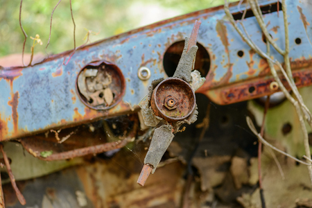 Rusty car wreck abandoned in a wood. Rusty details of the interiors wrapped by the plants of the forest.の写真素材