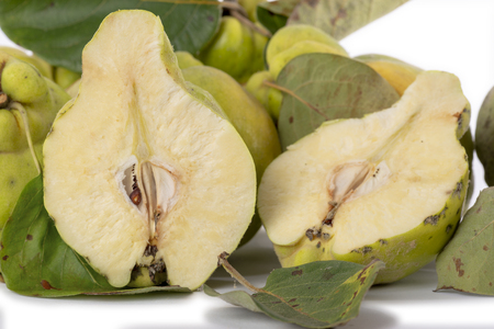 Autumn green quince with leaves, details. White background.の写真素材
