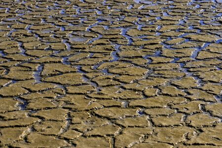Water layer after a storm covers the ground affected by dryness.