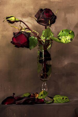 A bouquet of dried roses inside a glass, petals and fallen leaves.の写真素材