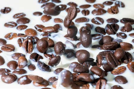 Coffee beans falling on the milk splash. Cup of milk. Concept photography.の写真素材