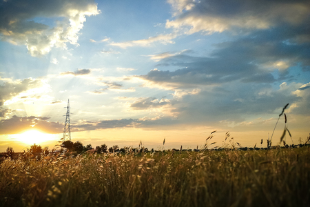 Beautiful sunset over the green large fieldの写真素材