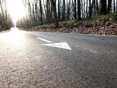 Markings on the road. Arrow to move right. Right side view