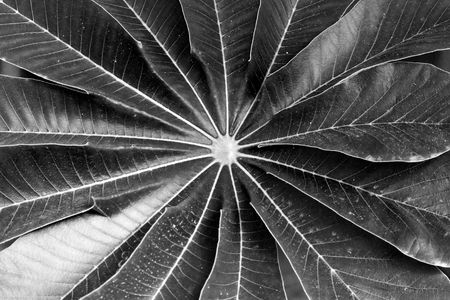 middleの写真素材