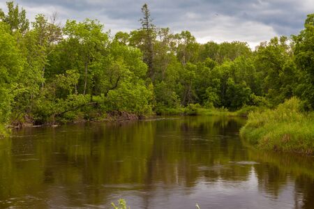 green trees and riverの写真素材