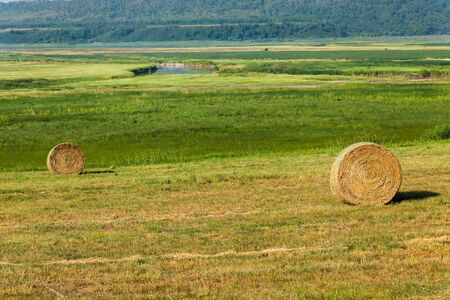 two hay bales in the green meadow valleyの写真素材