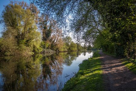 a path near Lee river with green treesの写真素材