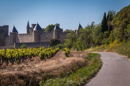a concrete road leading to medieval town Le Cite in Carcassonne with gapes plants in foreground on a sunny dayの写真素材