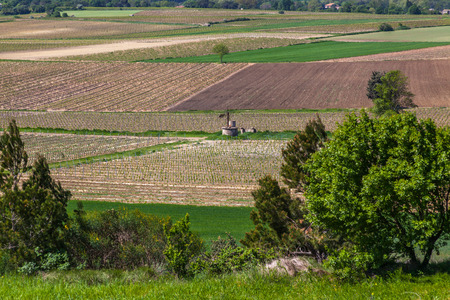 a view of green fields of crops and vineyards on a sunny summer day in French countrysideの写真素材