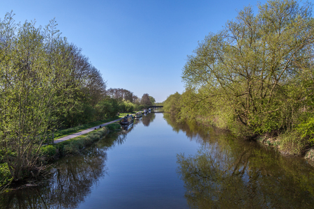 a river Lee with trees growing on both sides and blue skyの写真素材