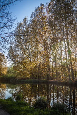a river Lee with trees growing on both sides and blue skyの写真素材